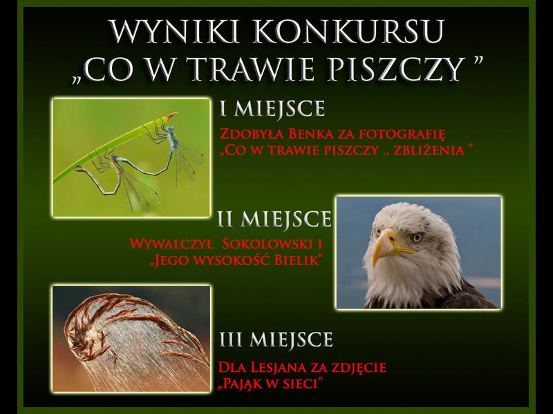 Wyniki_konkursu_nr_9