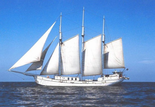 Minerva