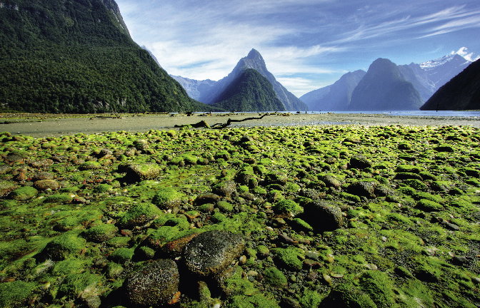1_Australia_shutterstock_39030706_opt