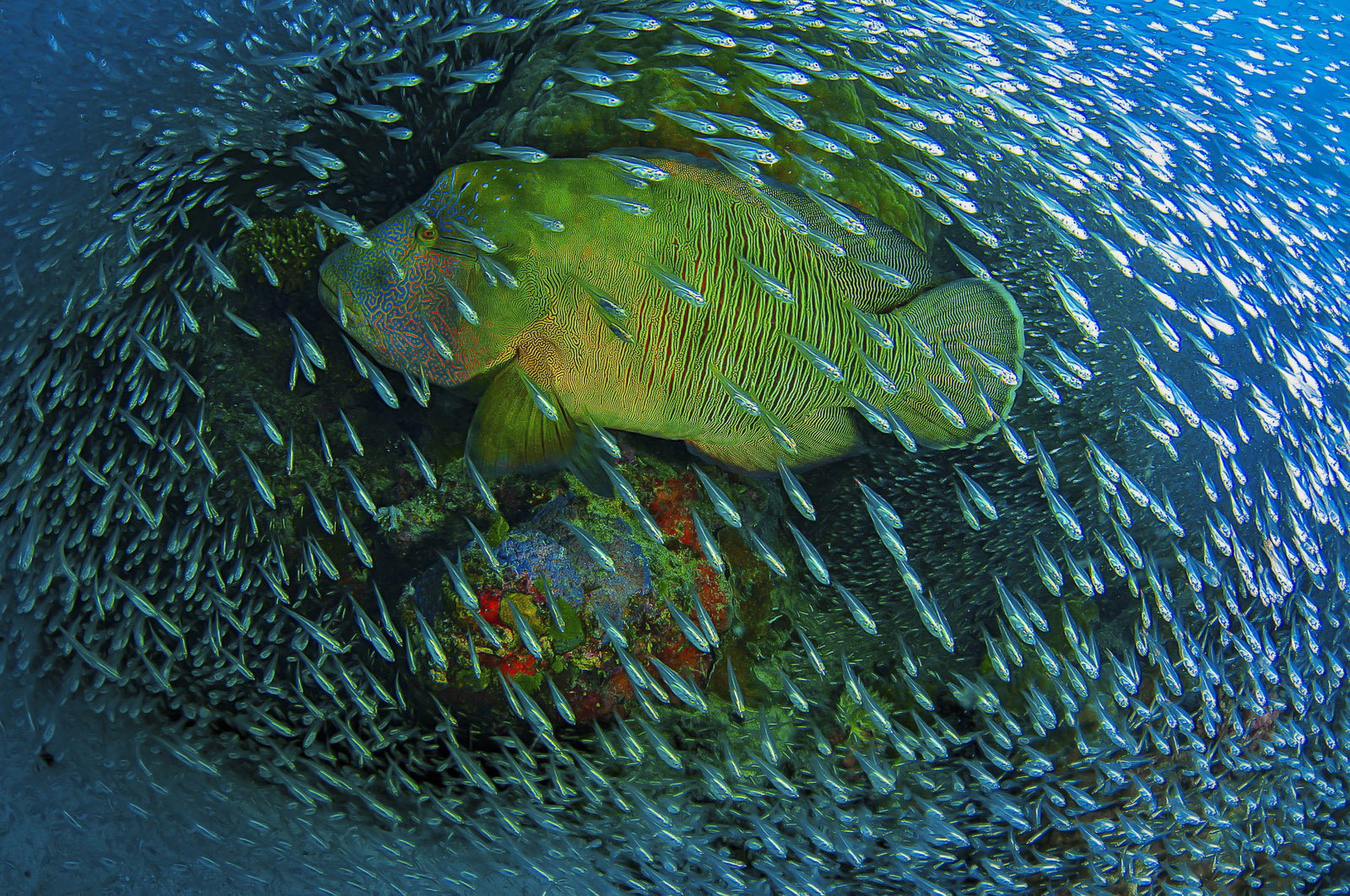 04_2014-10-02_283179_nature