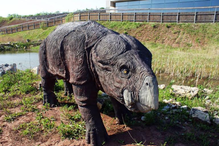 dino_01