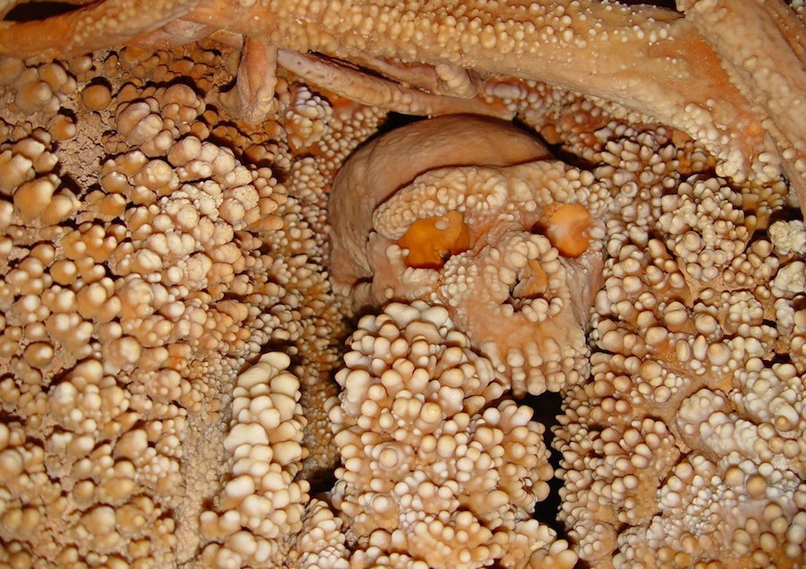 altamura-man