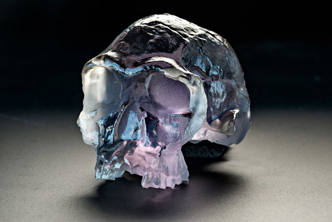 03a-homo-habilis-printed-skull-670