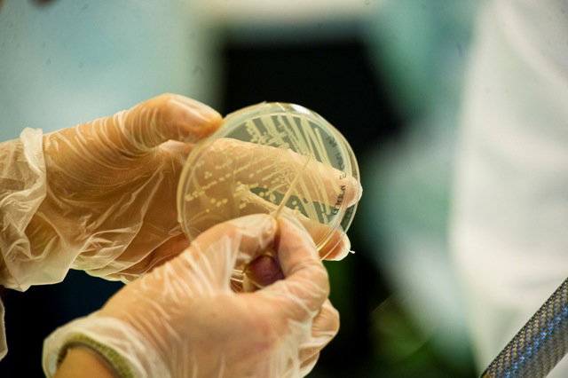 lab_biol_1
