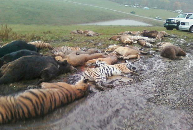 03-zanesville-ohio-animal-carcasses-670