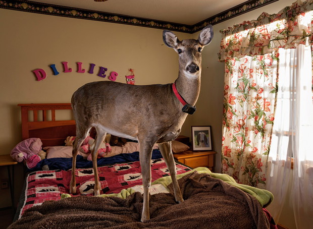 09-dillie-the-deer-670