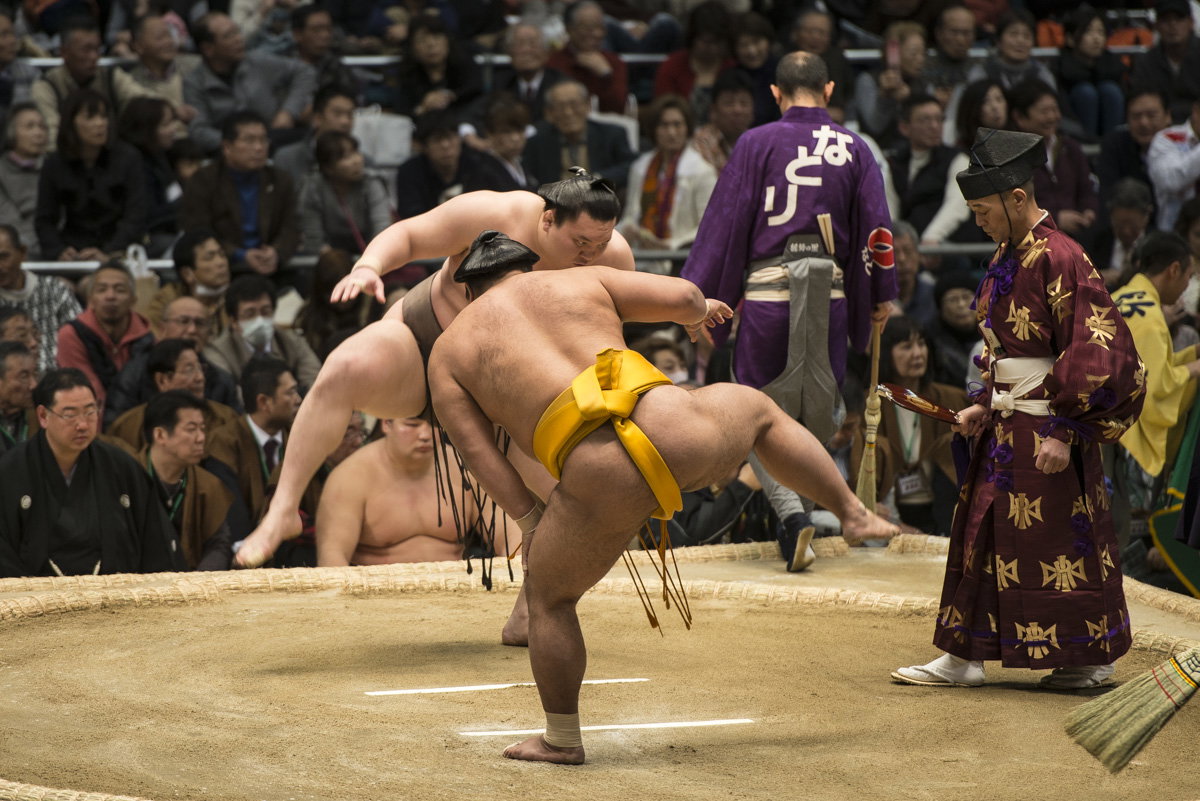 Sumo
