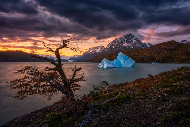 Artur Stanisz – Metamorfoza