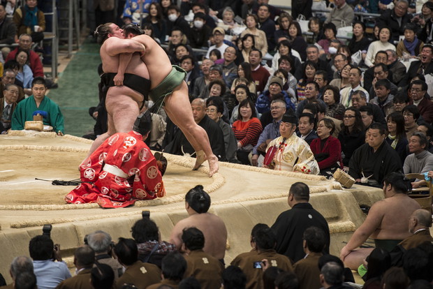 Sumo