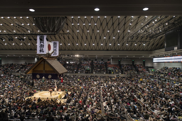 Sumo