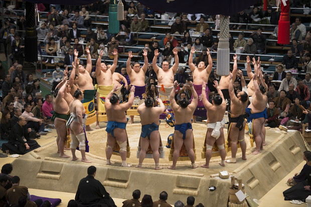 Sumo