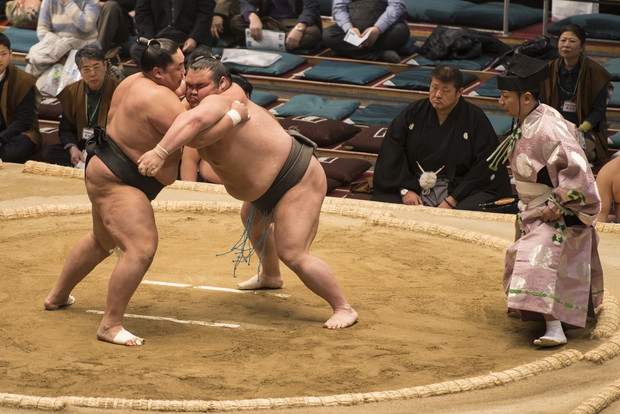 Sumo