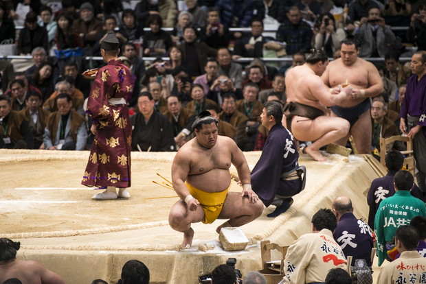 Sumo