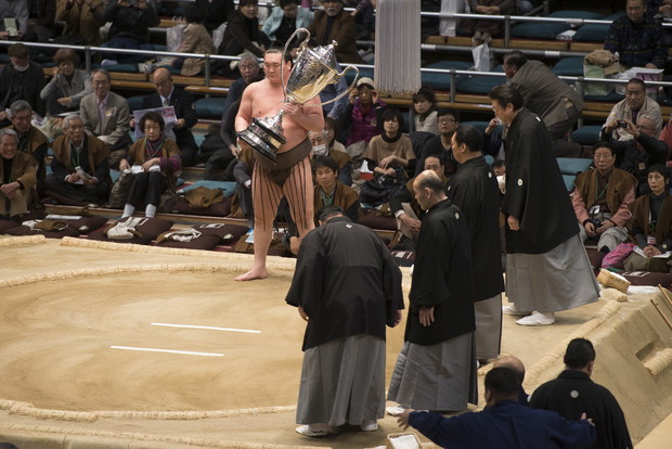 Sumo