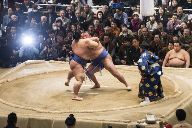 Sumo