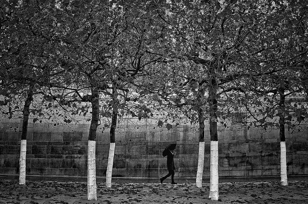 Wojtek Szwej – Walking man