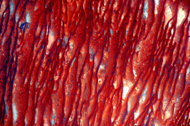 Australia NASA