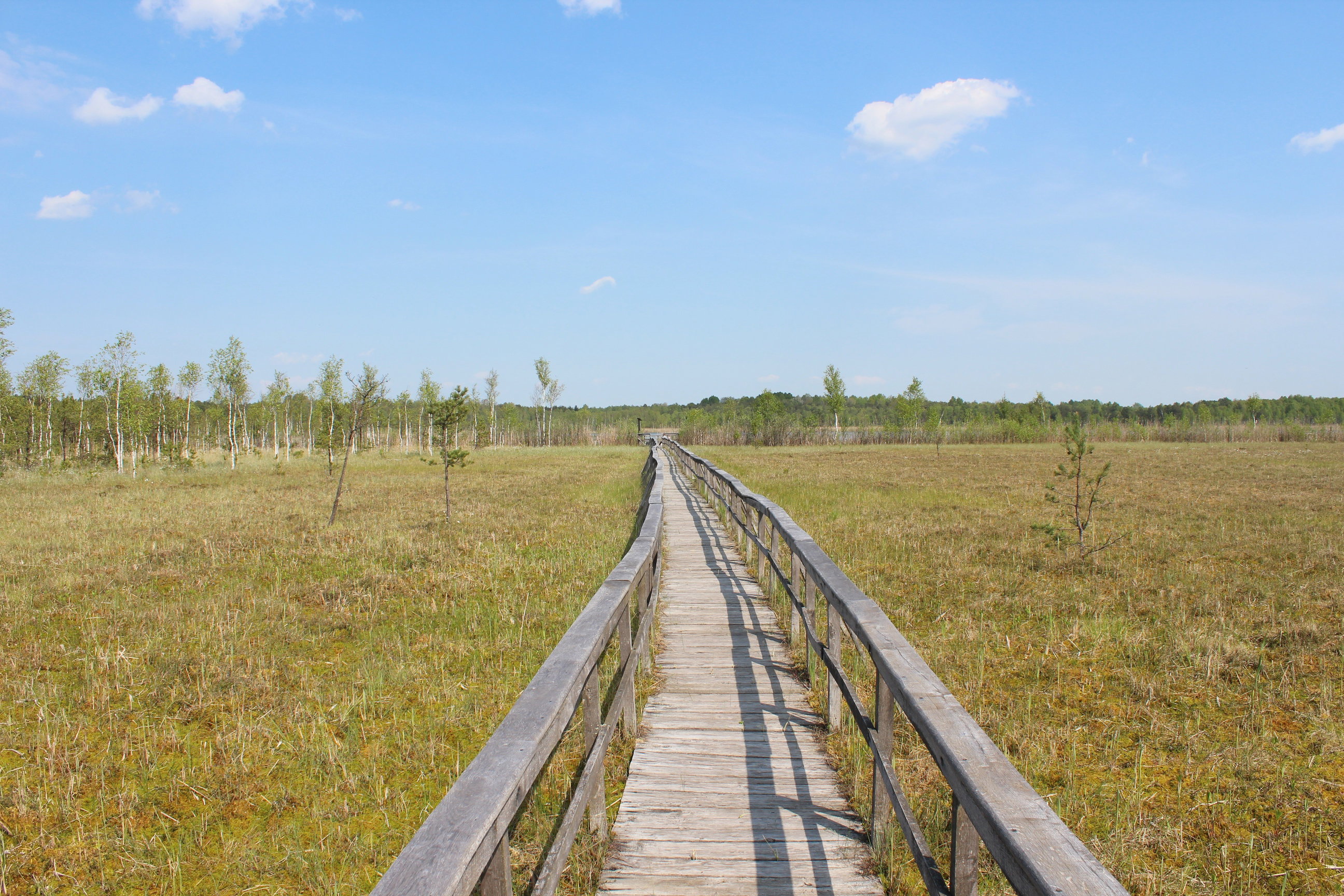 https-www-national-geographic-pl-traveler-artykul-poleski-park-narodowy-to-gratka-dla-milosnikow-przyrody-utm-source-facebook-utm-medium-ng-utm-campaign-archeo-240716-b4d4d69