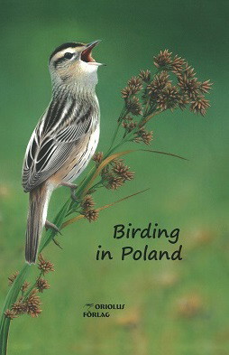 birding_in_poland