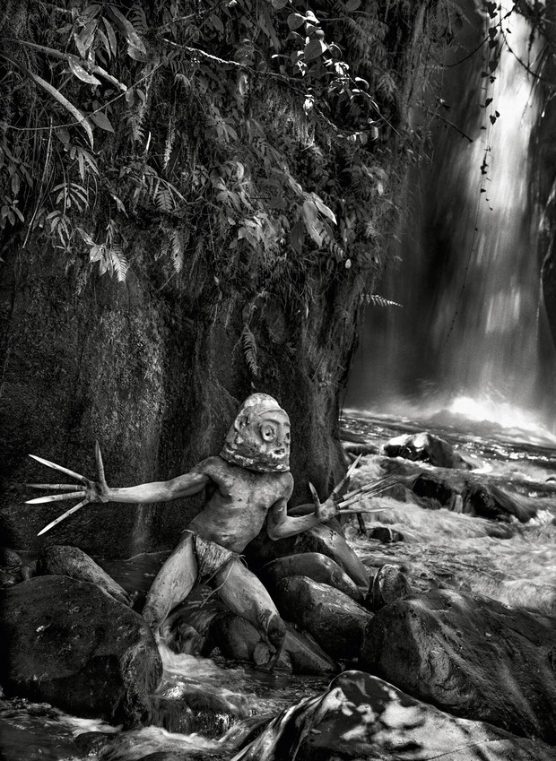 salgado4