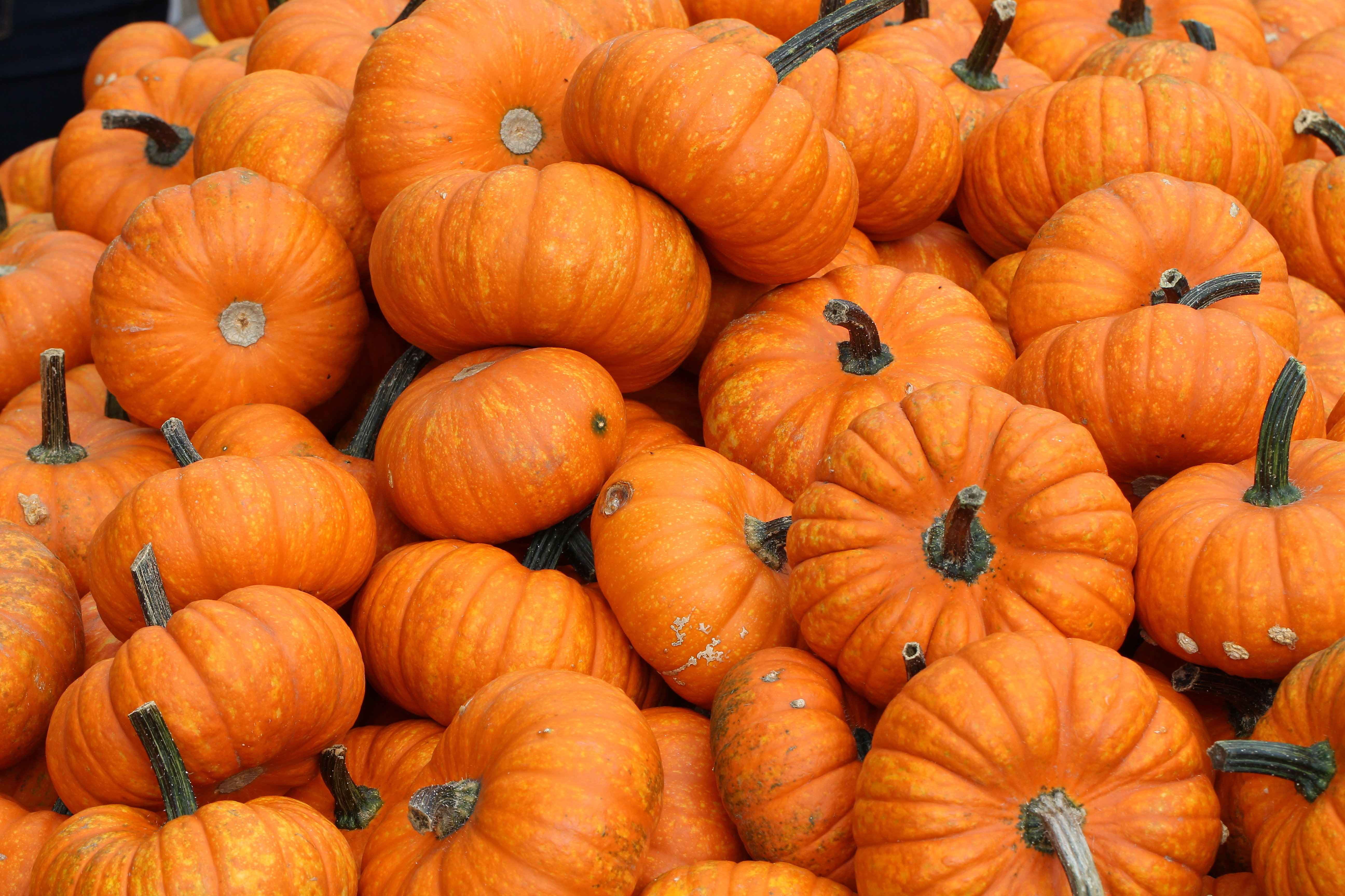 shutterstock_320907953