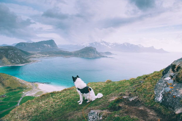 boredpanda-1-of-1-22__880