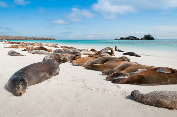 Park Narodowy Galapagos, Prowincja Galapagos, Ekwador