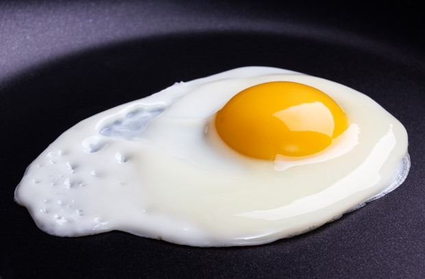 shutterstock_172286546