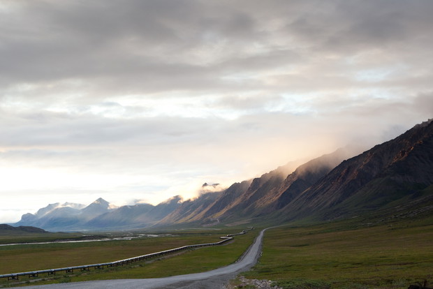 shutterstock_81953917