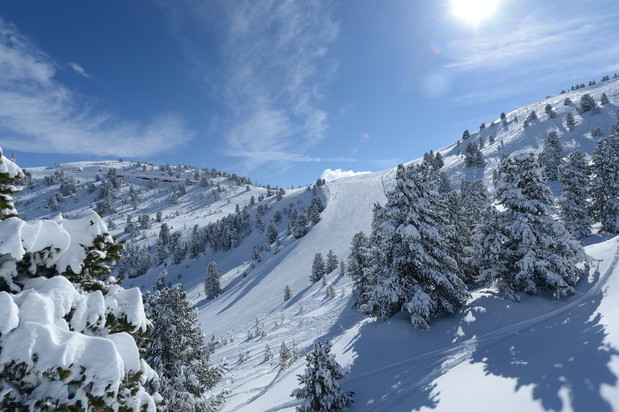 Trentino