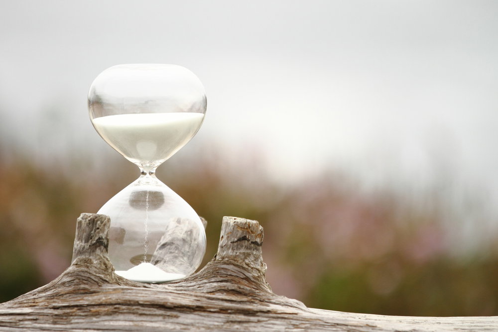shutterstock_296562803