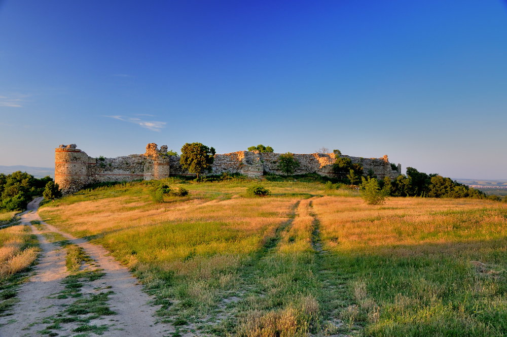 shutterstock_54175192