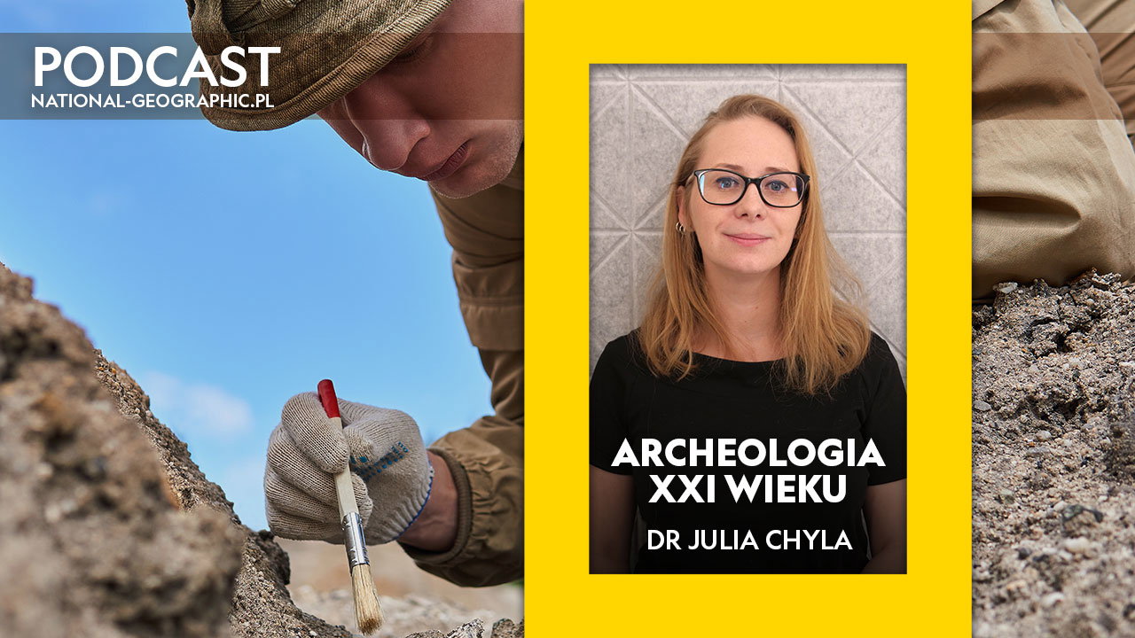 archeologia-xxi-wieku-456b61d