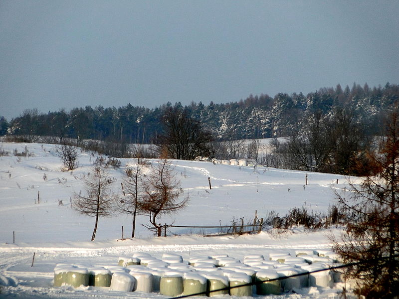 Stare_Kiełbonki_-_fields_in_winter
