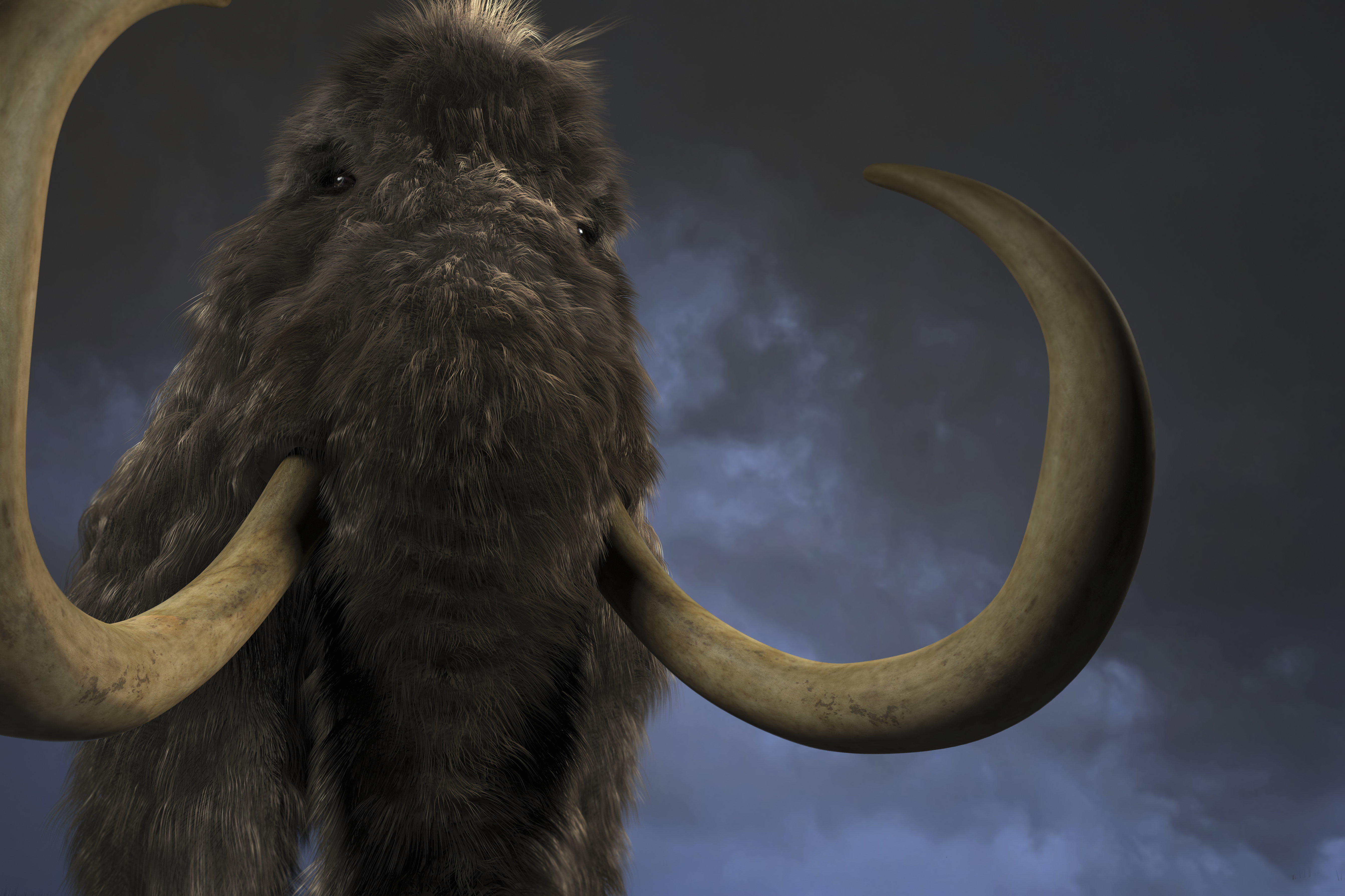 Mamut