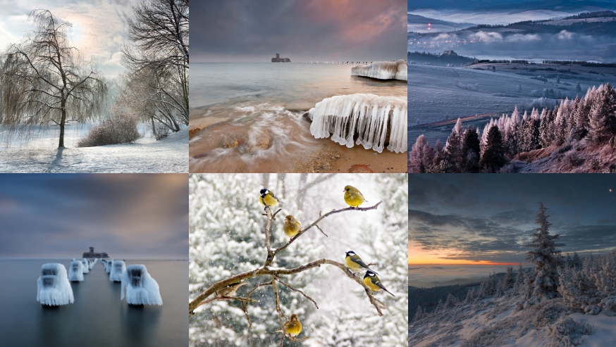 PicMonkey Collage2
