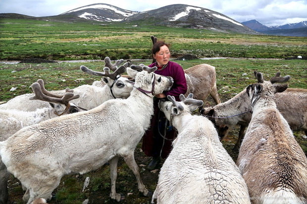 Tsaatan, Mongolia