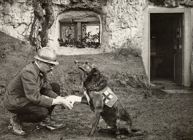 25 najpiękniejszych zdjęć z archiwum National Geographic GALERIA