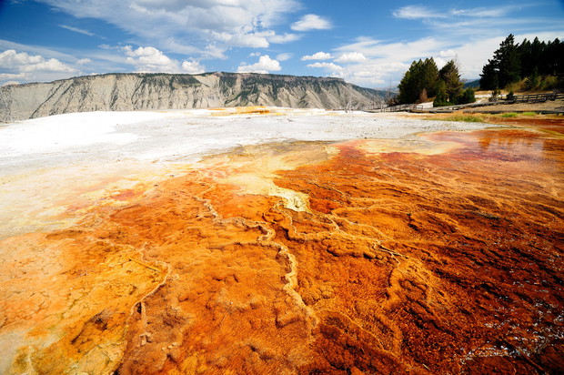 1. Park Yellowstone