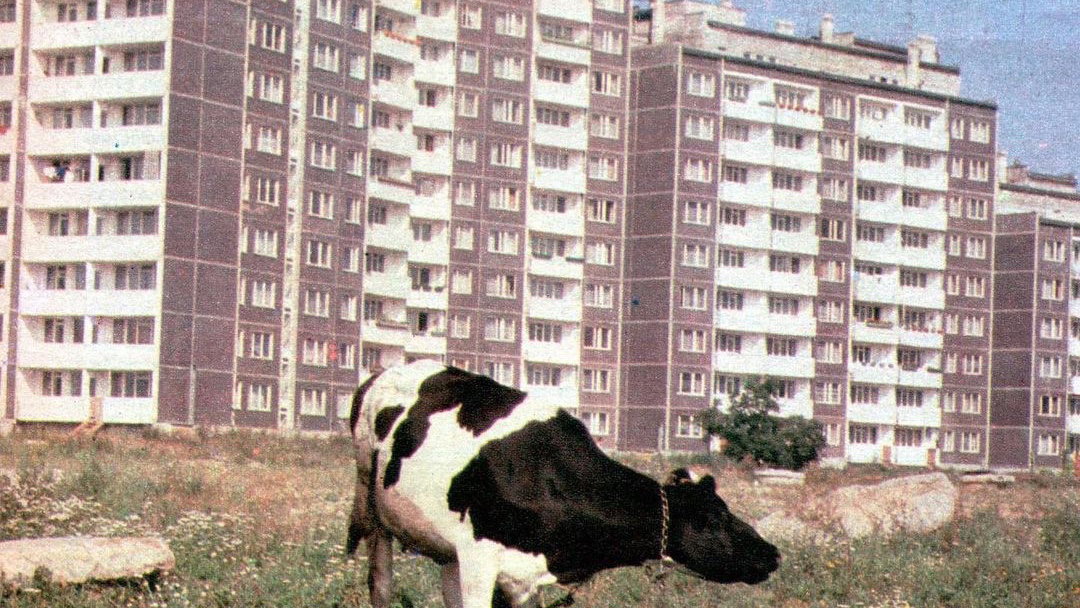 powarszawsku-269032c