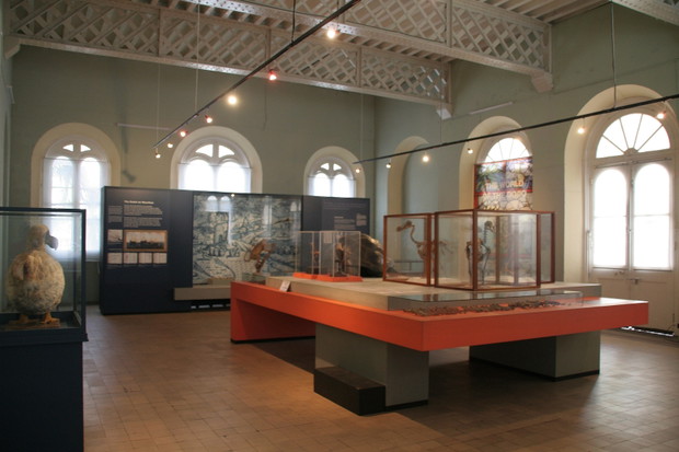 3_Dodo Gallery Natural History Museum Port Louis designed by Marijke Besselink