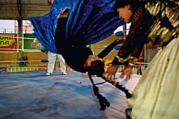 cholitas luchadoras