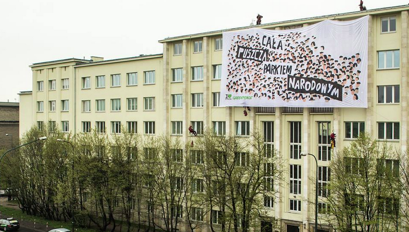 Puszcza białowieska greenpeace