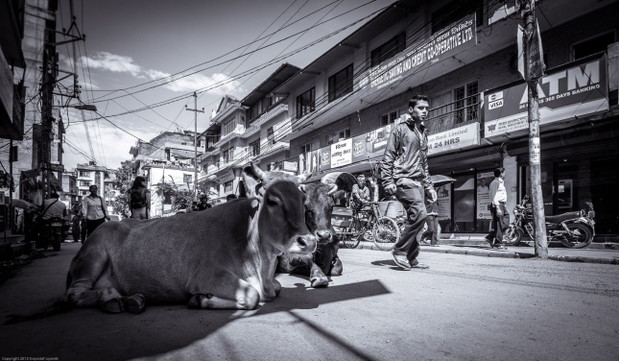 Nepal
