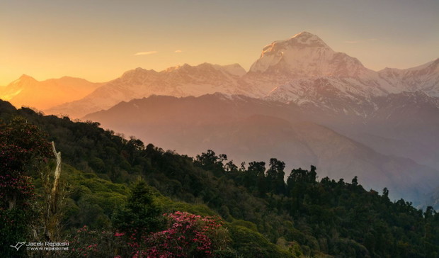 Nepal