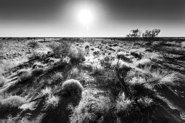shutterstock_148145591