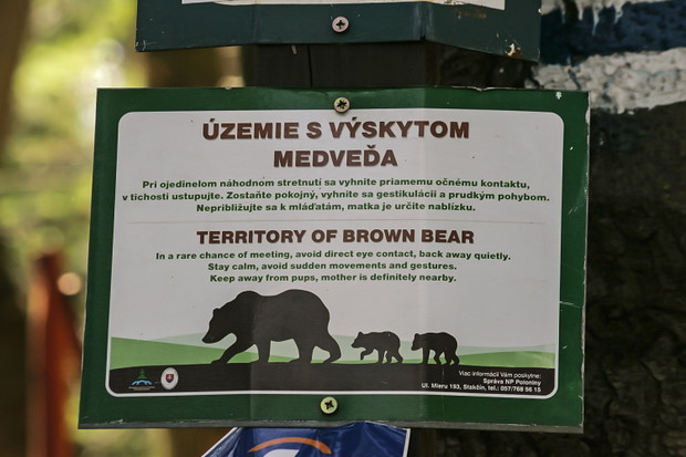 Terytorium niedźwiedzi