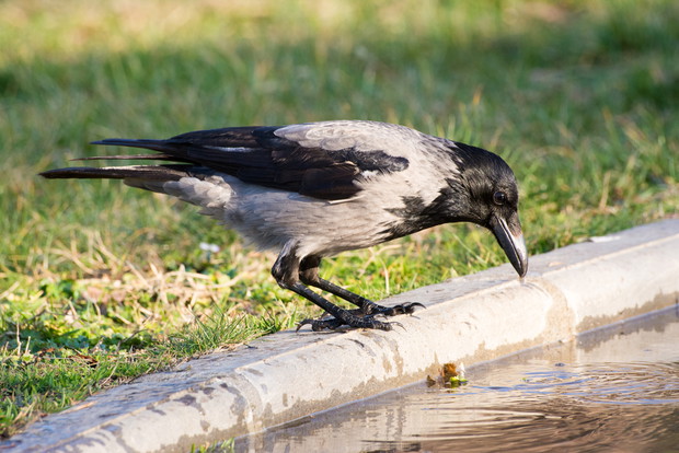 shutterstock_391568953