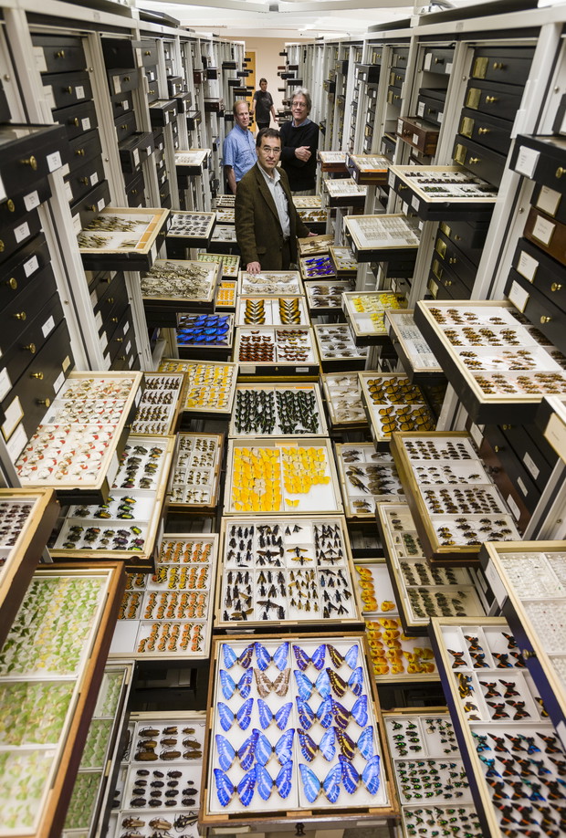 Niezwykłe zdjęcia z Muzeum Historii Naturalnej