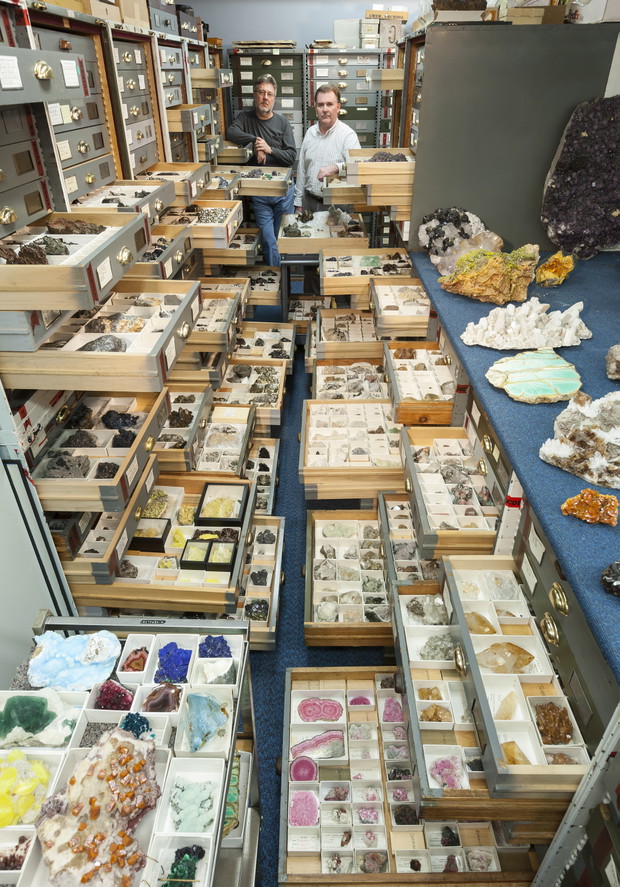 Niezwykłe zdjęcia z Muzeum Historii Naturalnej